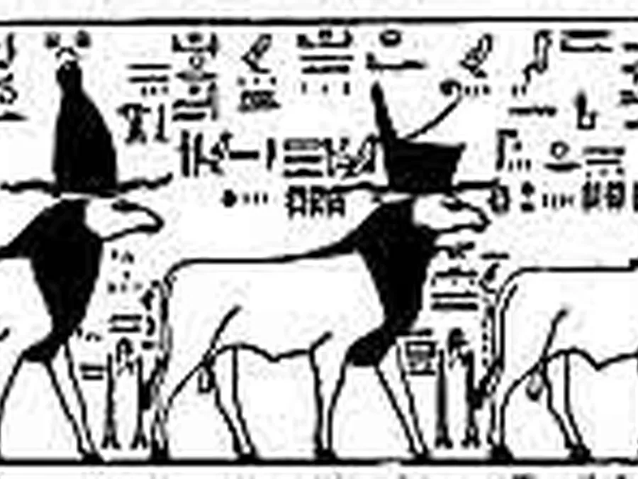 Book Am-Tuat source plate 16900 with Egyptian underworld imagery and hieroglyphic text.