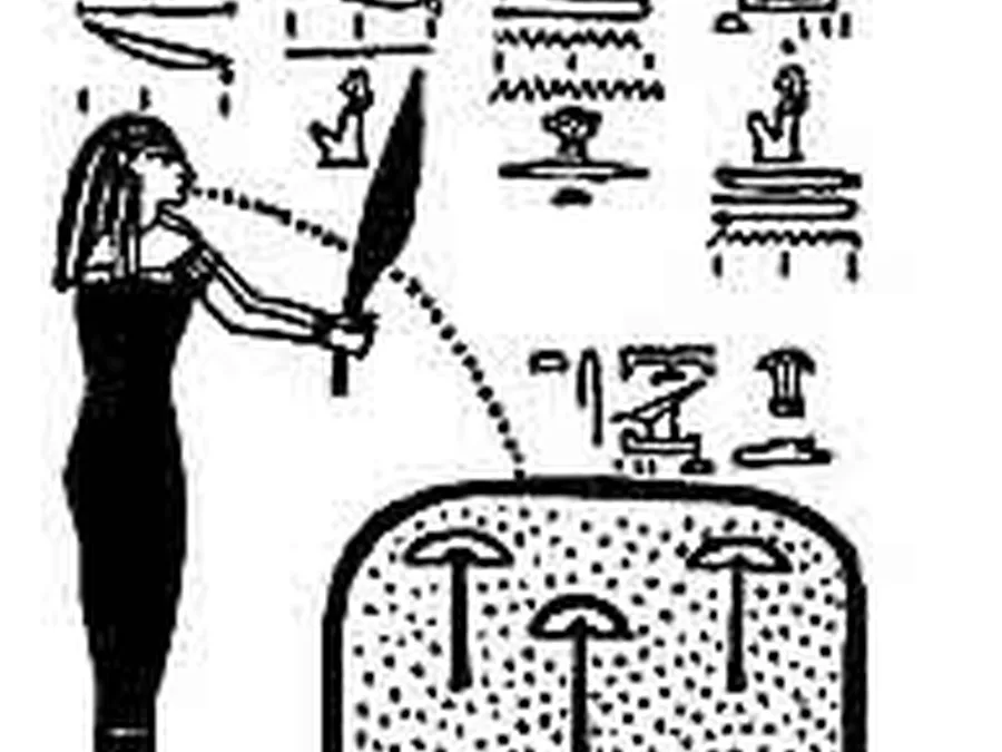 Book Am-Tuat source plate 25100 with Egyptian underworld imagery and hieroglyphic text.